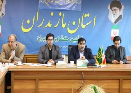 مشکل تامین گوشت مرغ در مازندران نداریم