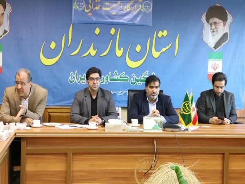 مشکل تامین گوشت مرغ در مازندران نداریم