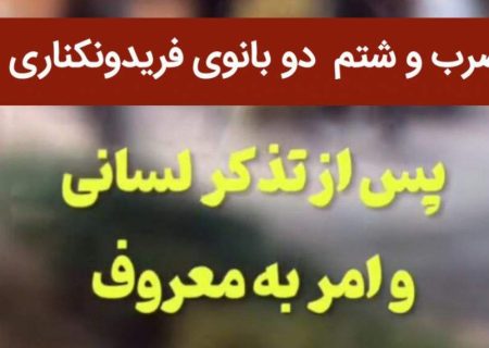 هتک‌حرمت هنجارشکنان به ۲ بانوی فریدونکناری