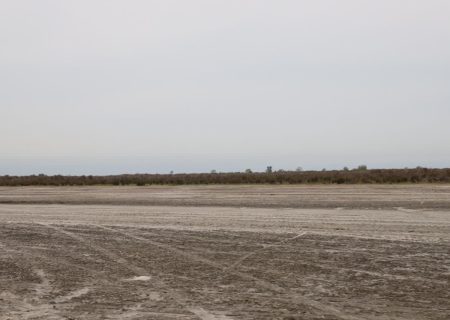 میانکاله تشنه است