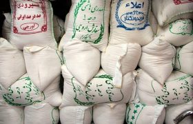 پیش‌بینی تولید ۷۳۰ هزار تن برنج سفید