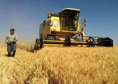 پرداخت ۹۵ درصد مطالبات گندم‌کاران در مازندران