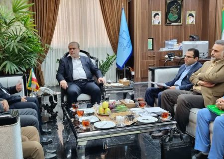 ورود دادگستری به تعیین‌تکلیف مالکیت کارخانه نساجی