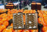 صادرات ۱۰ هزار تن مرکبات و کیوی از مازندران