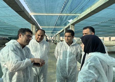 بازدید مدیرکل بهداشت سازمان دامپزشکی از ظرفیت‌های آبزی‌پروری مازندران