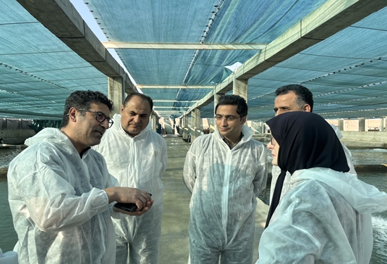 بازدید مدیرکل بهداشت سازمان دامپزشکی از ظرفیت‌های آبزی‌پروری مازندران
