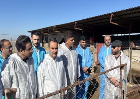 برگزاری رزمایش مقابله با تب برفکی در مازندران