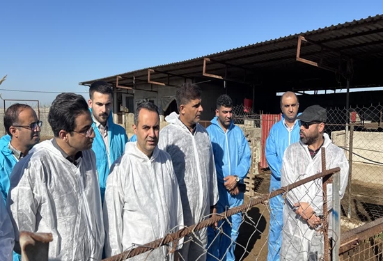 برگزاری رزمایش مقابله با تب برفکی در مازندران