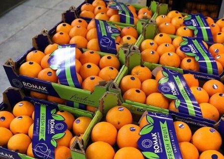 نیازمند تصمیم درست برای ثبت دقیق صادرات مازندران هستیم