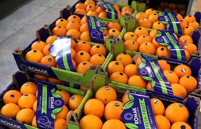 نیازمند تصمیم درست برای ثبت دقیق صادرات مازندران هستیم