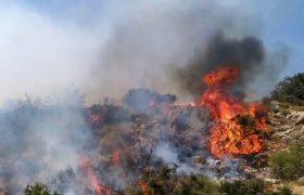 عامل انسانی؛ محرک پنهان بخش بزرگی از حریق‌ها