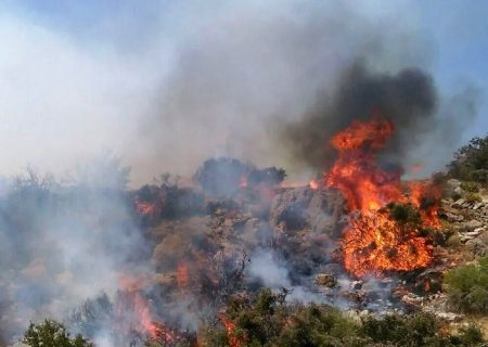 عامل انسانی؛ محرک پنهان بخش بزرگی از حریق‌ها