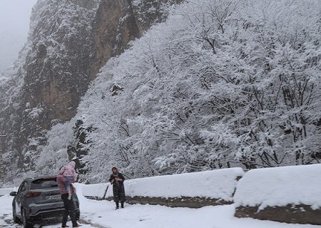 مازندران برفی شد