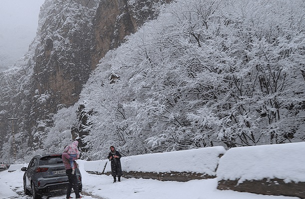 مازندران برفی شد