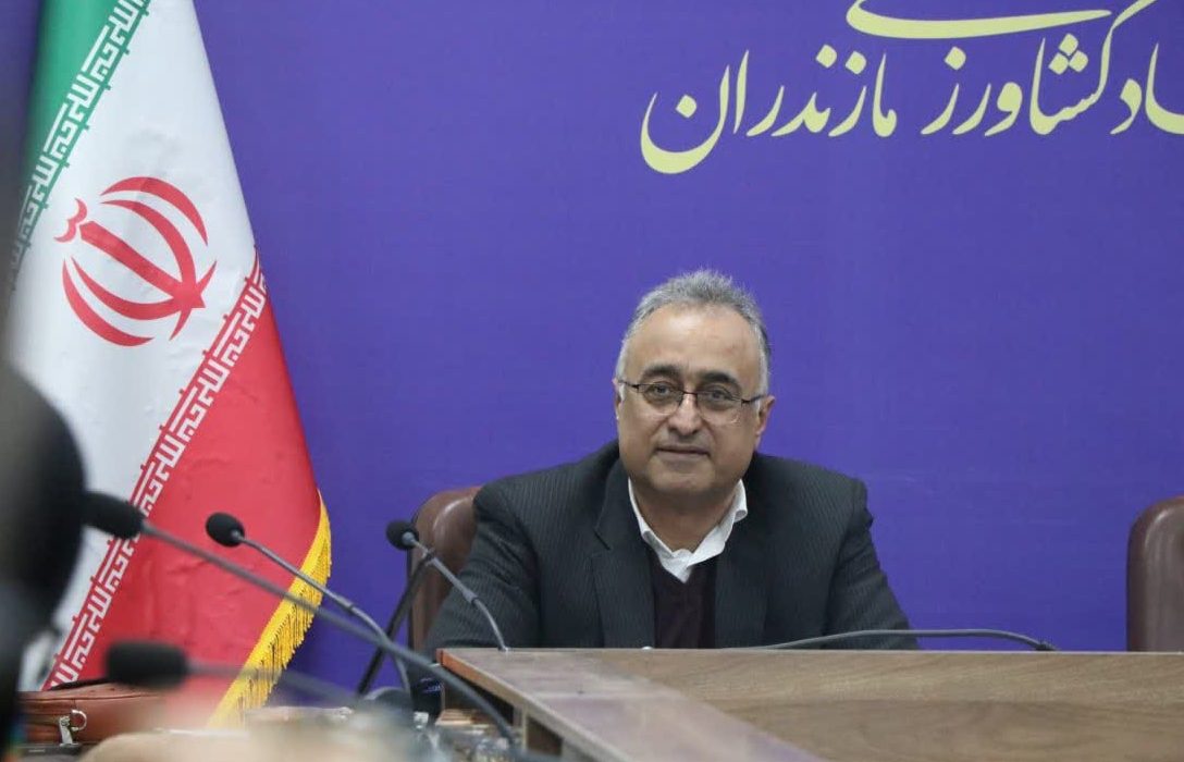 تامین ۱۲ هزار تُن نهاده دامی برای ثبات بازار مرغ