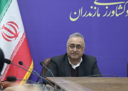 تامین ۱۲ هزار تُن نهاده دامی برای ثبات بازار مرغ