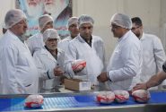 رصد دقیق فعالیت کشتارگاه های طیور مازندران