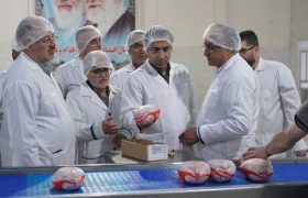 رصد دقیق فعالیت کشتارگاه های طیور مازندران